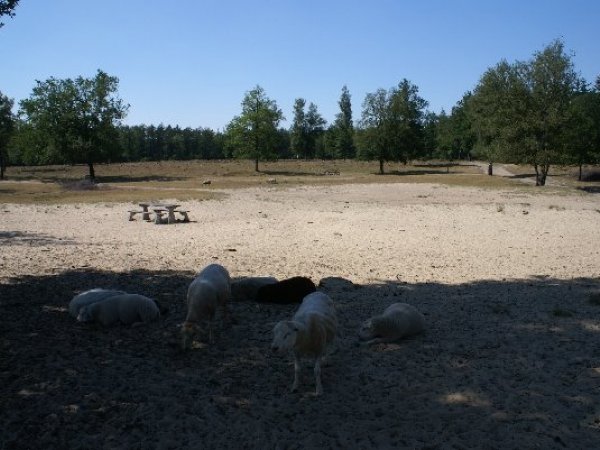 Ideale picknick plaats