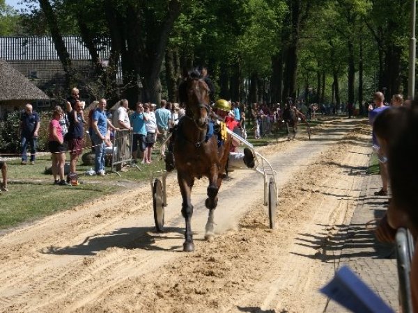 Paardenrace Diever