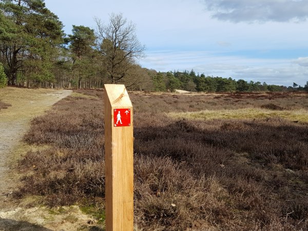  Neem een picknickmand mee!