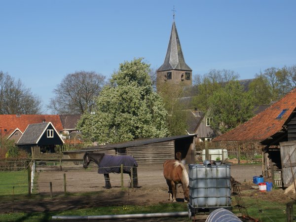 Velden naast de boerderij