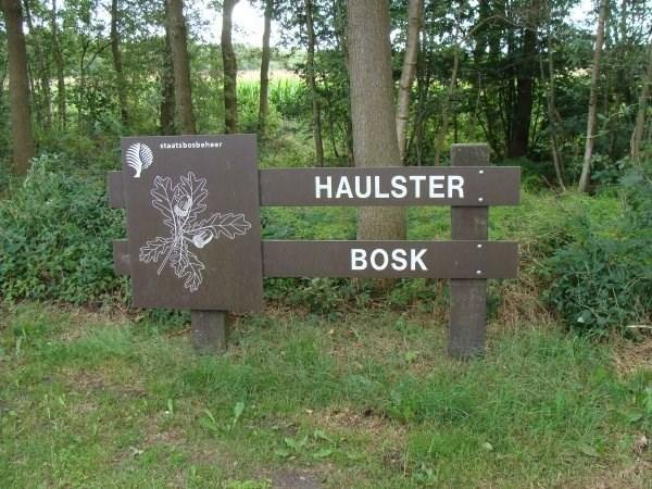 Haulsterbos